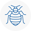 Bed Bug Extermination In Knottingley
