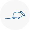 Mice Exterminators In Knottingley